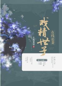 追妻封面