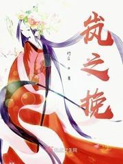 岚之挽封面