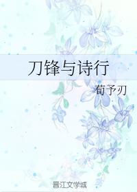 刀锋与诗行封面