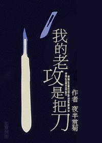 我的老攻是把刀封面