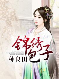 锦绣包子种良田封面