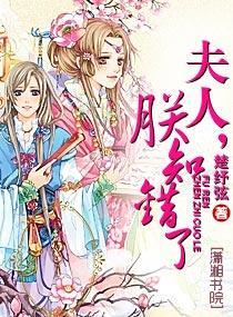 夫人,朕知错了封面