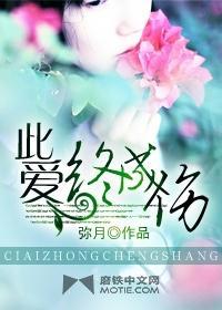 此爱终成伤封面