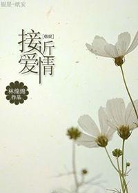 [韩娱]接近爱情封面
