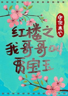 红楼之我哥哥叫贾宝玉封面