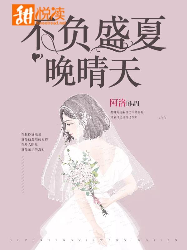 不负盛夏晚晴天封面