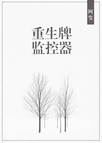 重生牌监控器封面