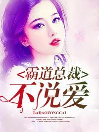 霸道总裁不说爱封面