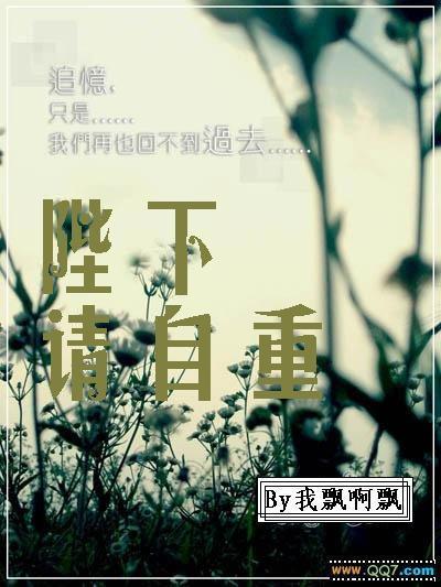 陛下请自重（夜之华章）封面