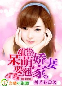 报告，呆萌娇妻要翘家封面