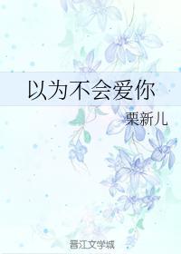 以为不会爱你封面