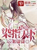 为你染指天下封面