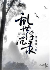 乱世浮沈录封面