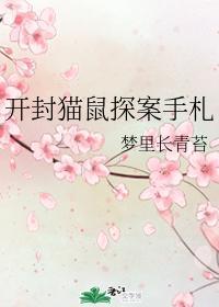 开封猫鼠探案手札封面