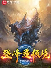 登峰造极境封面