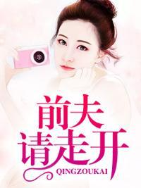 前夫请走开封面