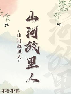 山河故里人封面