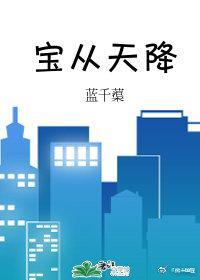 宝从天降封面