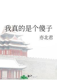我真的是个傻子封面