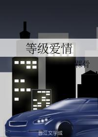等级爱情封面