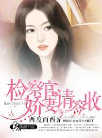 检察官，娇妻请签收封面