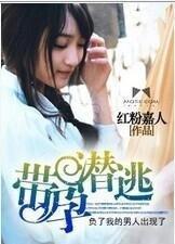 带孕潜逃封面