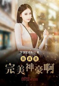 我真是完美神豪啊封面