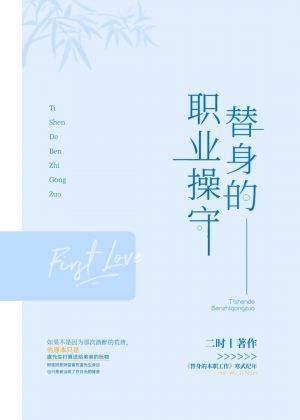 替身的职业操守封面