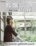 灿烂的雨封面