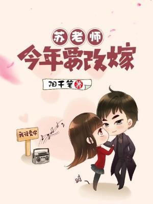 苏老师今年要改嫁封面