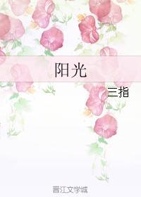 阳光封面