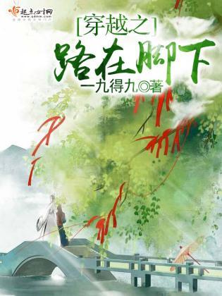 穿越之路在脚下封面