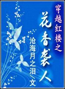 穿越红楼之花香袭人封面