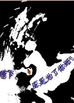 陛下,臣是为了你好封面