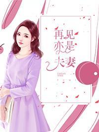 再见亦是夫妻封面