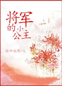 将军的小公主封面
