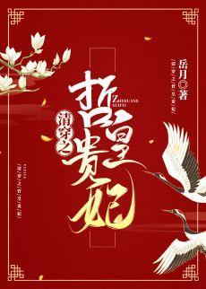 清穿之哲皇贵妃封面