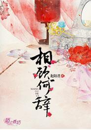 相顾何辞封面