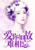 爱你如故难相忘封面
