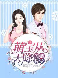 闪婚暖爱：萌宝从天降封面