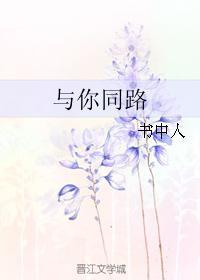 与你同路封面