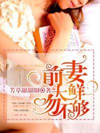 前妻太鲜吻不够封面