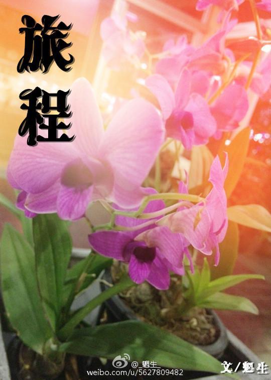 旅程封面