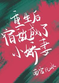 重生后宿敌成了小娇妻封面