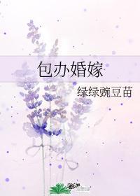 包办婚嫁封面
