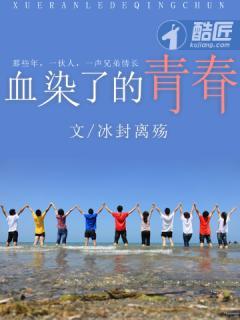 血染了的青春封面