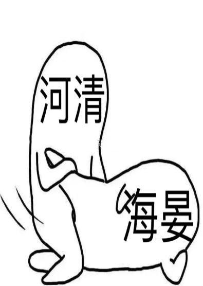 海晏河清封面
