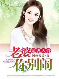 宠妻入骨：老婆你别闹封面