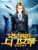 女总裁的上门女婿封面