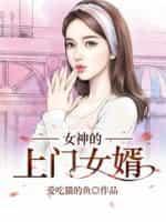 安然洛君临封面